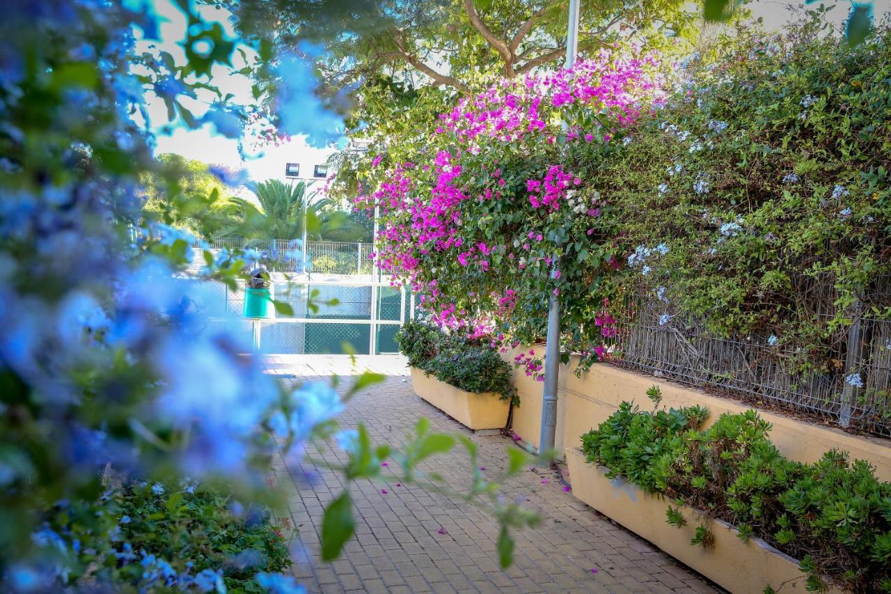 Montesol Home - Parking Gratis ايامونتي المظهر الخارجي الصورة
